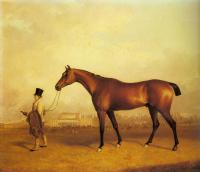 Ferneley, John - Emlius, Winter of the Derby, held by a Groom at Doncaster
